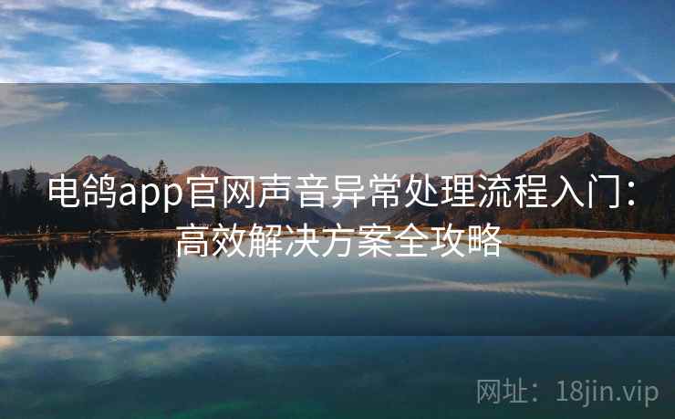 电鸽app官网声音异常处理流程入门：高效解决方案全攻略