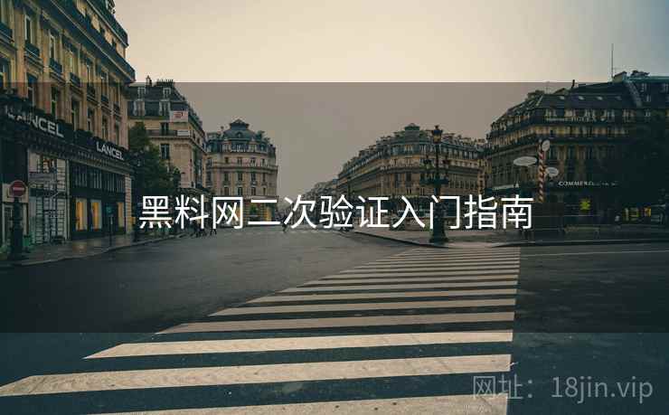 黑料网二次验证入门指南