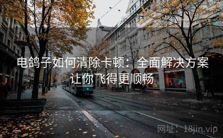 电鸽子如何清除卡顿：全面解决方案让你飞得更顺畅
