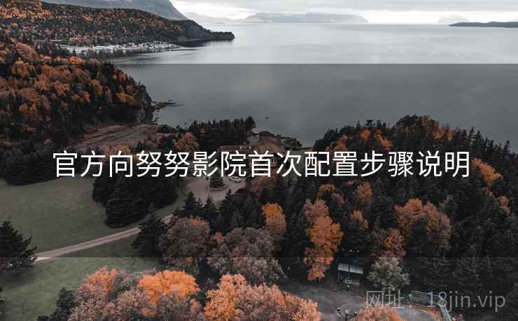 官方向努努影院首次配置步骤说明