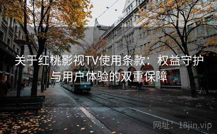 关于红桃影视TV使用条款：权益守护与用户体验的双重保障