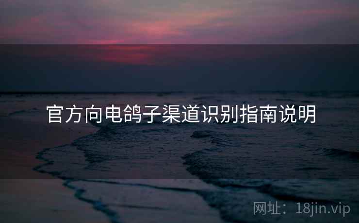 官方向电鸽子渠道识别指南说明