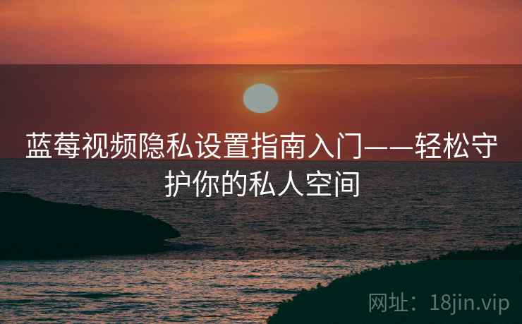 蓝莓视频隐私设置指南入门——轻松守护你的私人空间