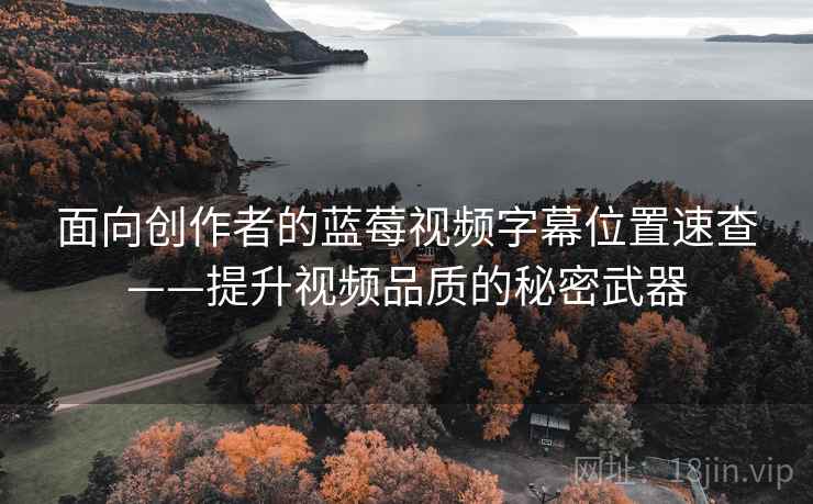 面向创作者的蓝莓视频字幕位置速查——提升视频品质的秘密武器