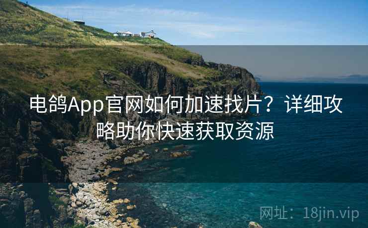 电鸽App官网如何加速找片？详细攻略助你快速获取资源