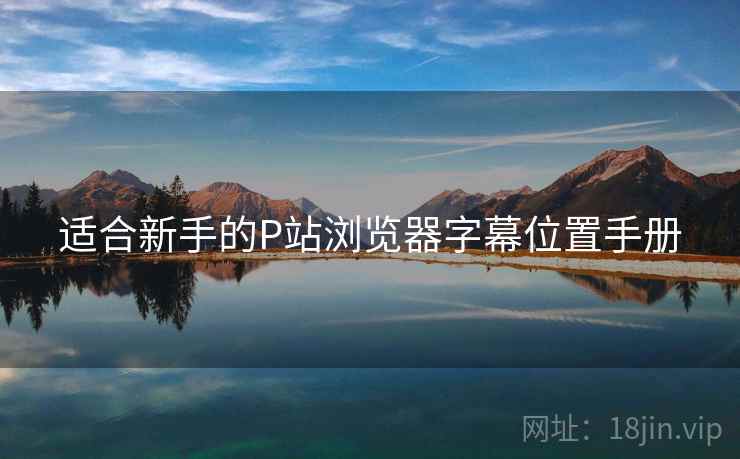 适合新手的P站浏览器字幕位置手册