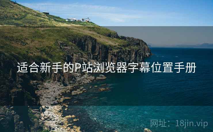 适合新手的P站浏览器字幕位置手册