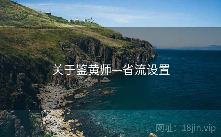 关于鉴黄师—省流设置