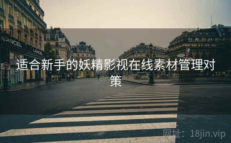 适合新手的妖精影视在线素材管理对策