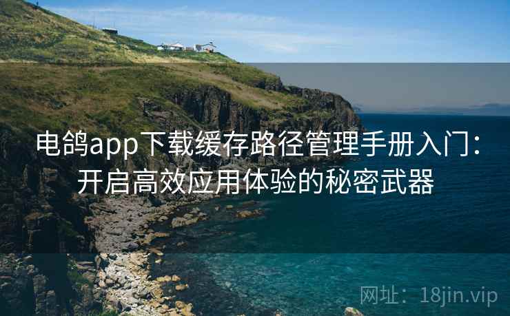 电鸽app下载缓存路径管理手册入门：开启高效应用体验的秘密武器