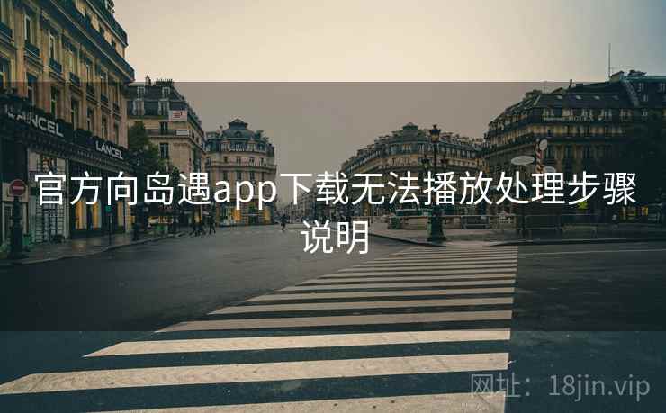 官方向岛遇app下载无法播放处理步骤说明