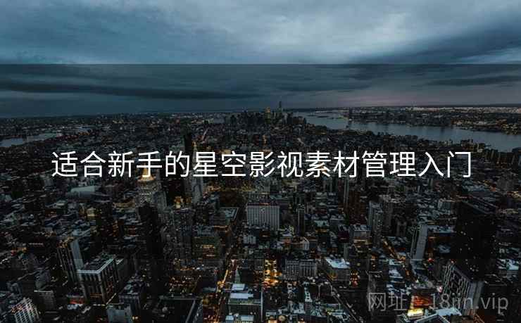 适合新手的星空影视素材管理入门