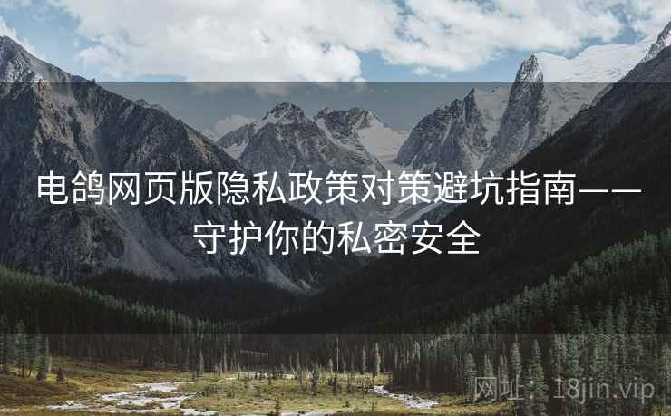 电鸽网页版隐私政策对策避坑指南——守护你的私密安全